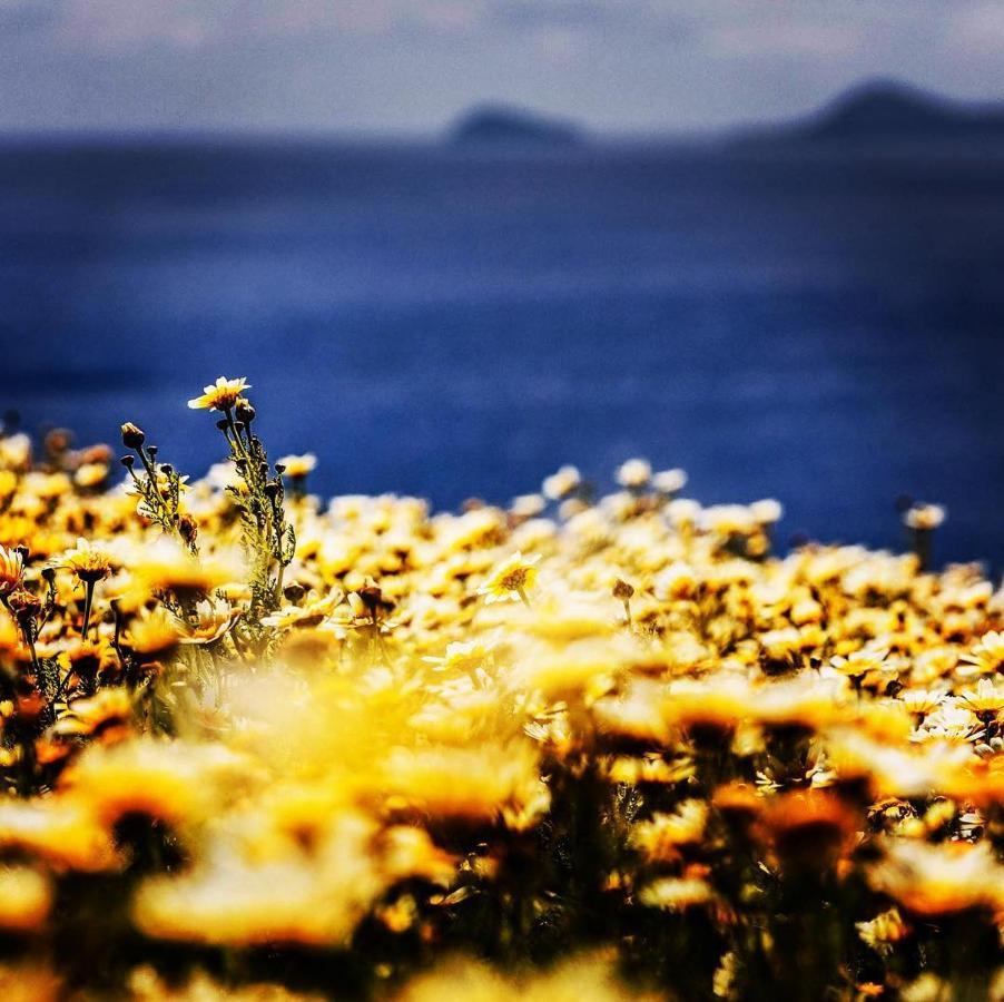 Arcana Santorini Villas, An Authentic Cycladic Experience Akrotírion Eksteriør billede